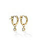 Small Gold Hoop Earrings with Crystal Drop