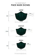 Alt View 1 Thumbnail - Evergreen Satin Twill Reusable Face Mask