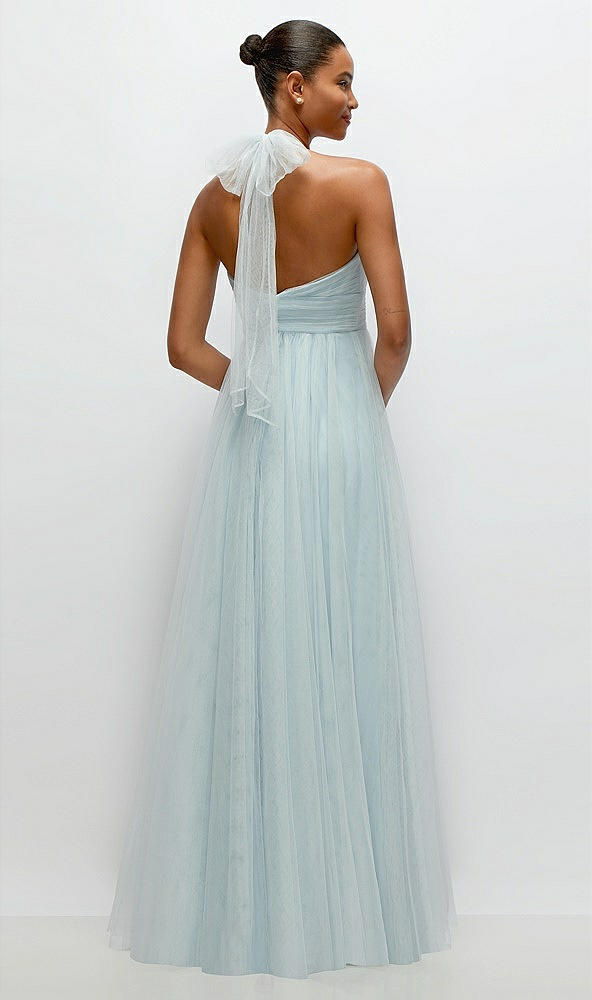 Back View - Mist 3131