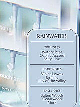 Alt View 2 Thumbnail - Neutral Rainwater Power Mist Touchland Hand Sanitizer