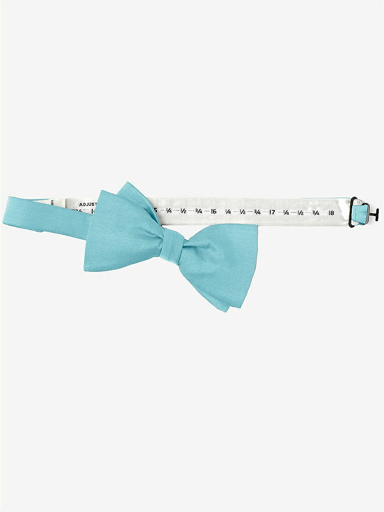 Back View - Aquamarine Peau de Soie Bow Ties by After Six