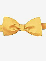 Front View Thumbnail - Mango Peau de Soie Bow Ties by After Six