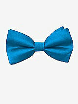 Front View Thumbnail - Bayside Peau de Soie Boy's Clip Bow Tie by After Six