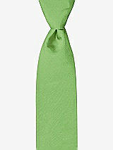 Front View Thumbnail - Appletini Peau de Soie Boy's 50" Necktie by After Six