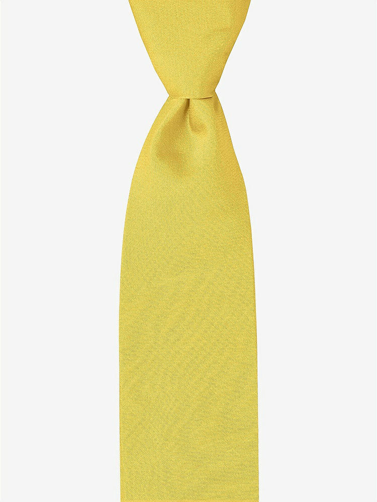 Front View - Daffodil Peau de Soie Boy's 50" Necktie by After Six