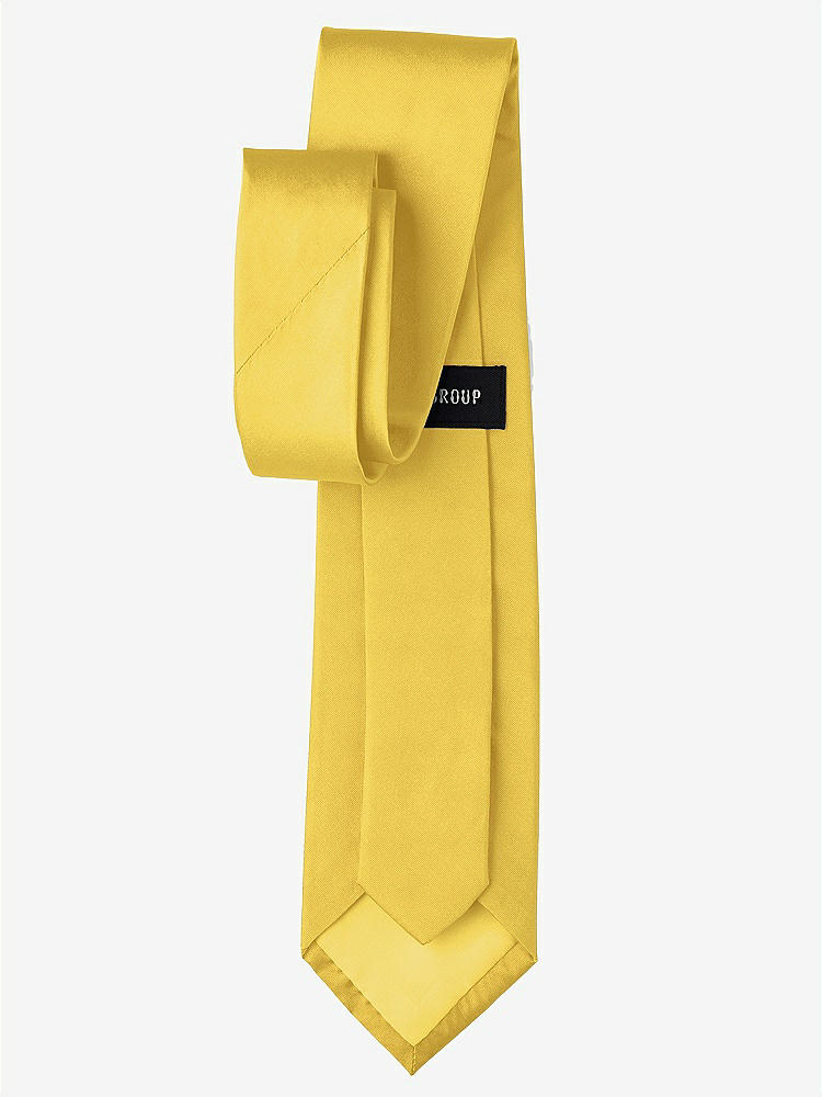 Back View - Daffodil Peau de Soie Boy's 50" Necktie by After Six