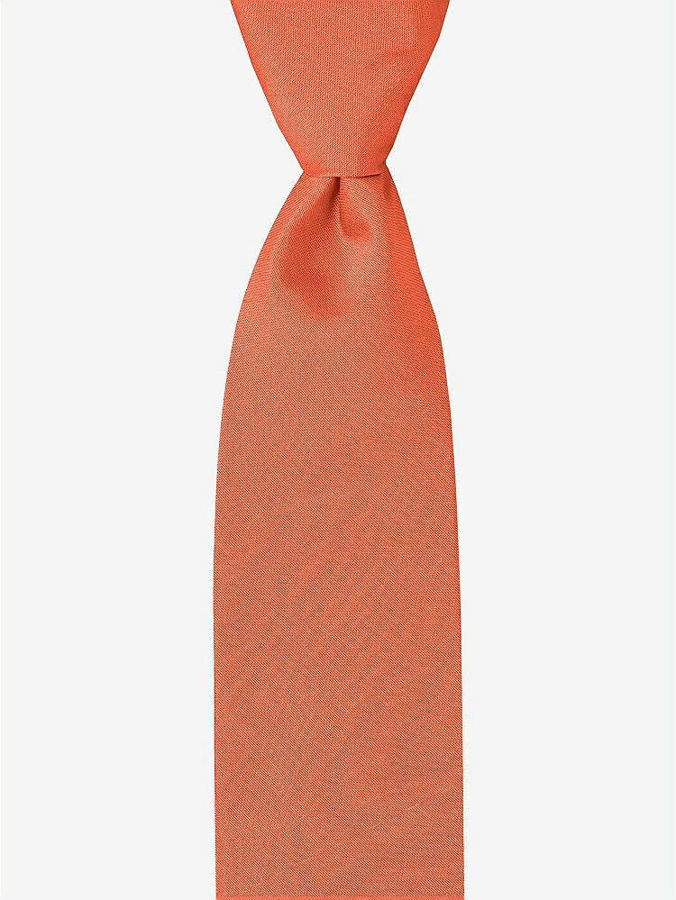 Front View - Fiesta Peau de Soie Boy's 50" Necktie by After Six