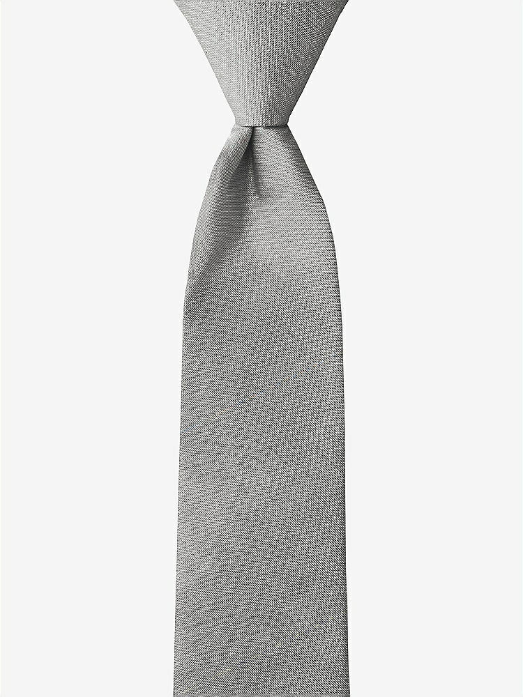 Front View - Chinchilla Peau de Soie Boy's 14" Zip Necktie by After Six