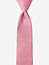 Front View Thumbnail - Twirl Peau de Soie Boy's 14" Zip Necktie by After Six