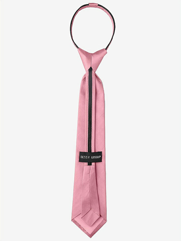 Back View - Twirl Peau de Soie Boy's 14" Zip Necktie by After Six