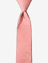 Front View Thumbnail - Apricot Peau de Soie Boy's 14" Zip Necktie by After Six