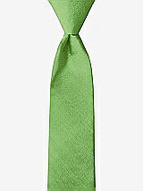 Front View Thumbnail - Appletini Peau de Soie Boy's 14" Zip Necktie by After Six