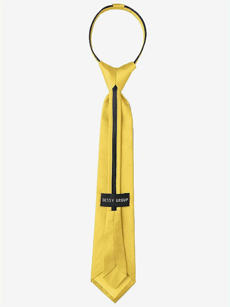 Back View - Daffodil Peau de Soie Boy's 14" Zip Necktie by After Six