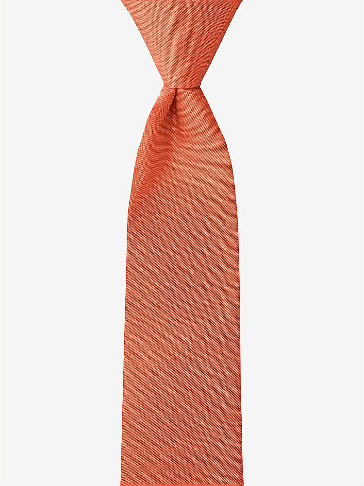 Front View - Fiesta Peau de Soie Boy's 14" Zip Necktie by After Six