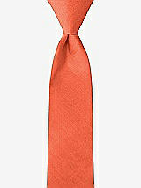 Front View Thumbnail - Fiesta Peau de Soie Boy's 14" Zip Necktie by After Six