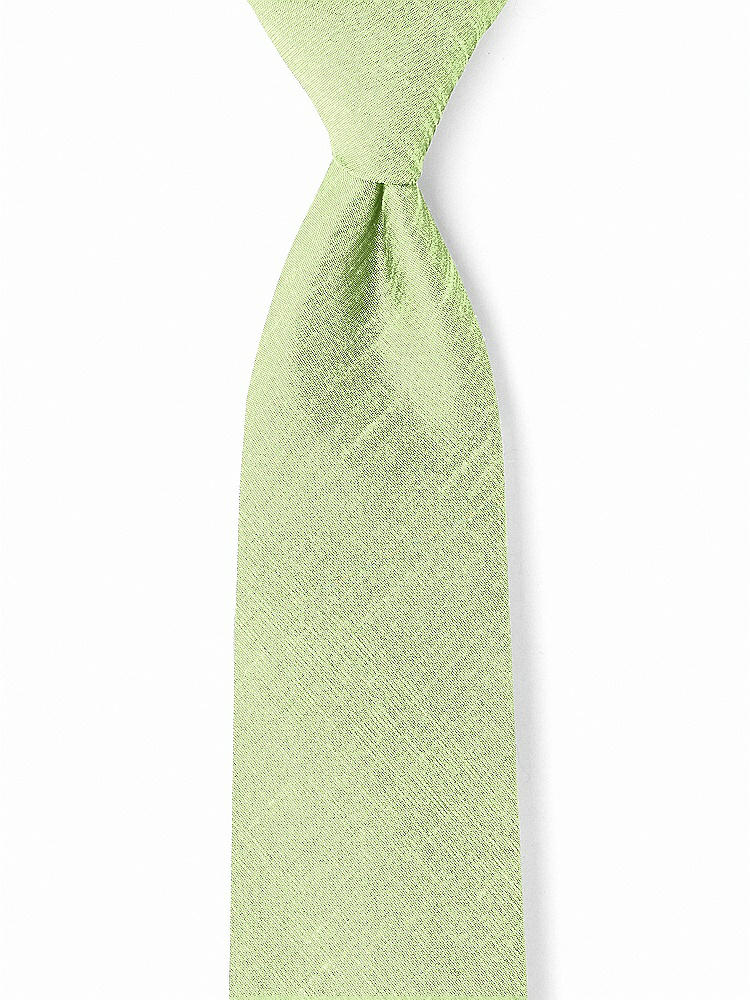 Front View - Pistachio Dupioni Boy's 50" Necktie by After Six