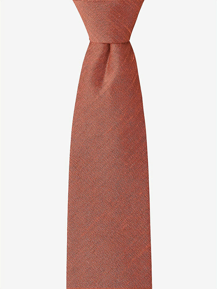 Front View - Burnt Orange Dupioni Boy's 14" Zip Necktie by After Six