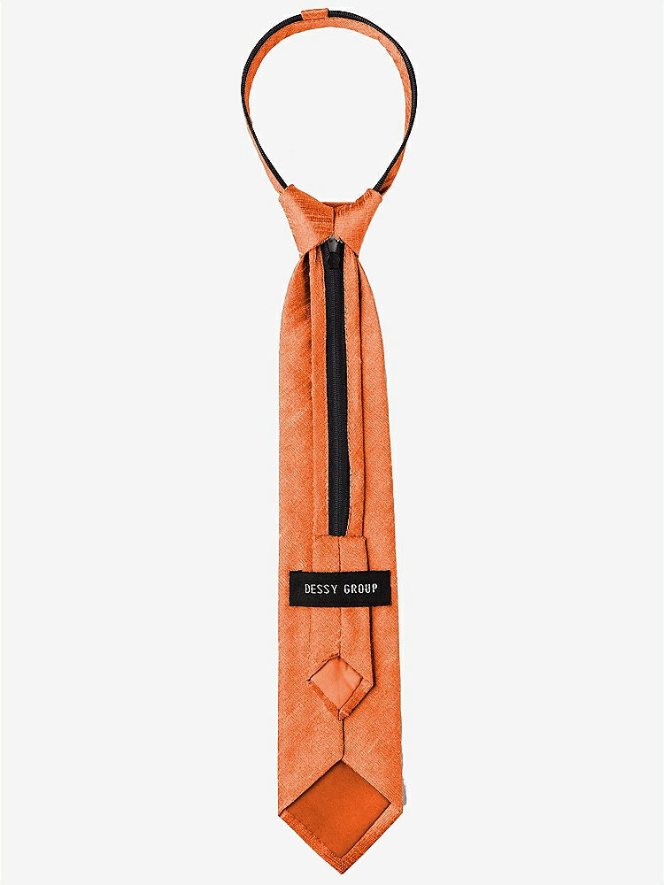 Back View - Mandarin Dupioni Boy's 14" Zip Necktie by After Six