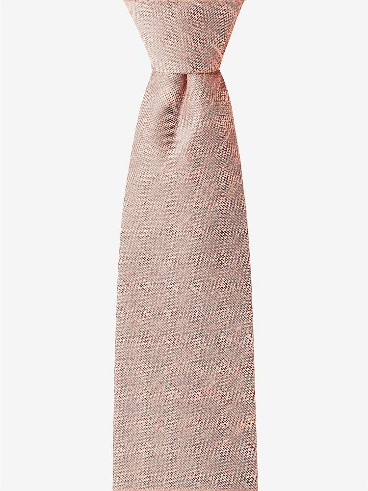 Front View - Fresco Dupioni Boy's 14" Zip Necktie by After Six