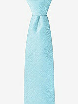 Front View Thumbnail - Skylark Dupioni Boy's 14" Zip Necktie by After Six