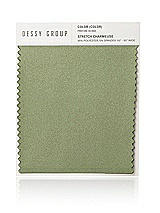 Front View Thumbnail - Kiwi Stretch Charmeuse Swatch