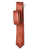 Rear View Thumbnail - Burnt Orange Dupioni Narrow Ties by After Six