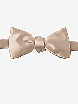 Front View Thumbnail - Topaz Matte Satin Bow Ties by After Six