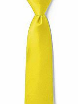 Front View Thumbnail - Citrus Matte Satin Boy's 14" Zip Necktie by After Six