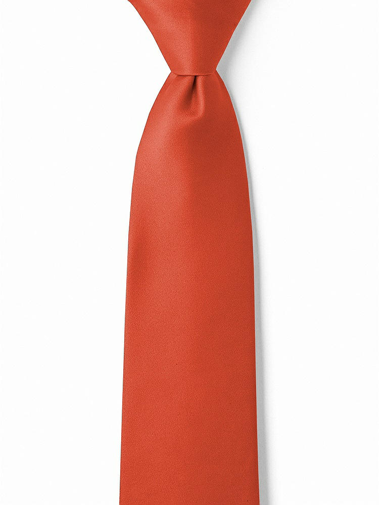 Front View - Spice Matte Satin Boy's 14" Zip Necktie by After Six