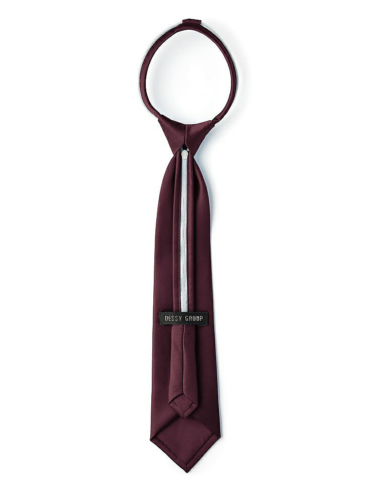 Back View - Bordeaux Matte Satin Boy's 14" Zip Necktie by After Six