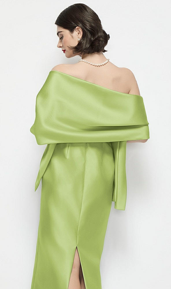 Back View - Mojito Satin Wrap Stole