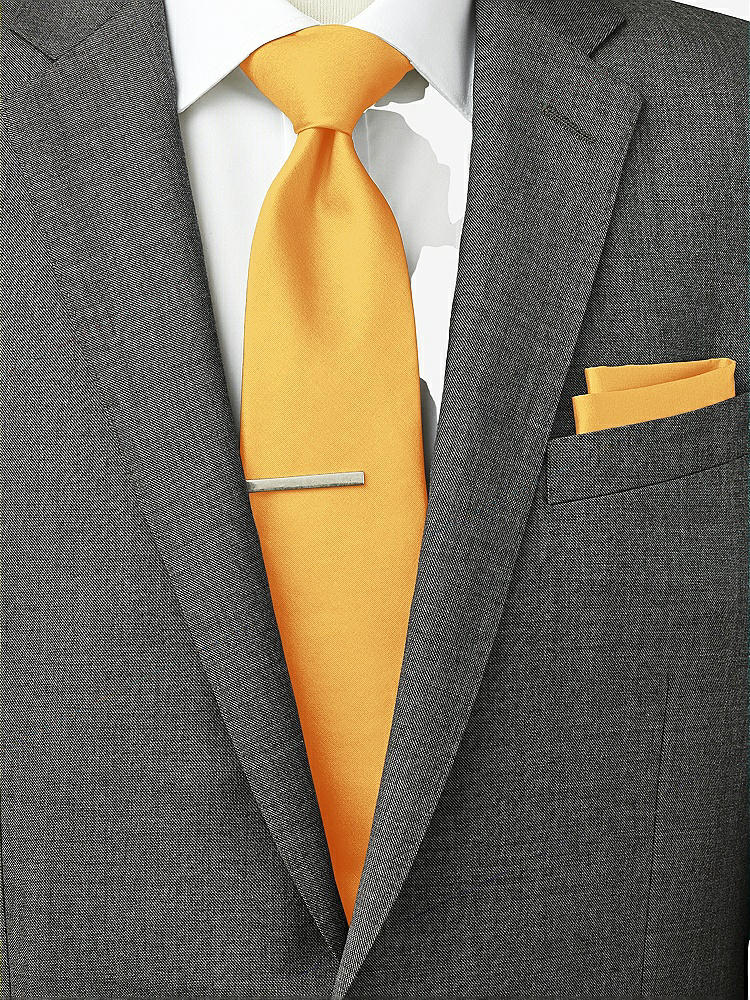 Back View - Mango Peau de Soie Pocket Squares by After Six