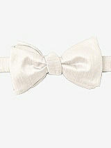 Front View Thumbnail - Ivory Dupioni Bow Ties by After Six