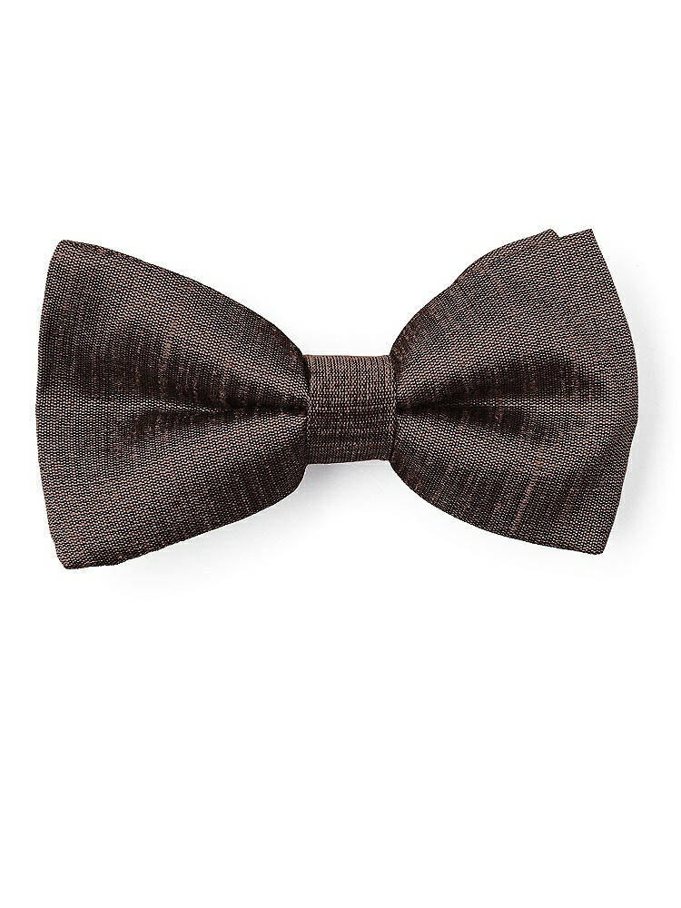 Front View - Brownie Dupioni Boy's Clip Bow Tie by After Six
