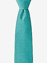 Front View Thumbnail - Azure Dupioni Boy's 14" Zip Necktie by After Six