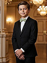 Alt View 1 Thumbnail - Sage Yarn-Dyed Boy's Bow Tie by After Six