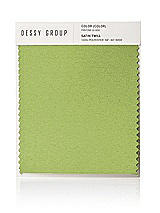 Front View Thumbnail - Mojito Satin Twill Swatch
