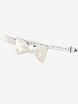 Rear View Thumbnail - Ivory Matte Satin Bow Ties by After Six