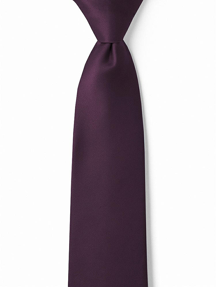 Front View - Aubergine Matte Satin Boy's 14" Zip Necktie by After Six