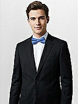 Alt View 1 Thumbnail - Cornflower Classic Yarn-Dyed Bow Ties by After Six