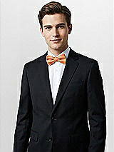 Alt View 1 Thumbnail - Clementine Classic Yarn-Dyed Bow Ties by After Six