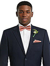 Alt View 2 Thumbnail - Desert Rose Classic Yarn-Dyed Bow Ties by After Six