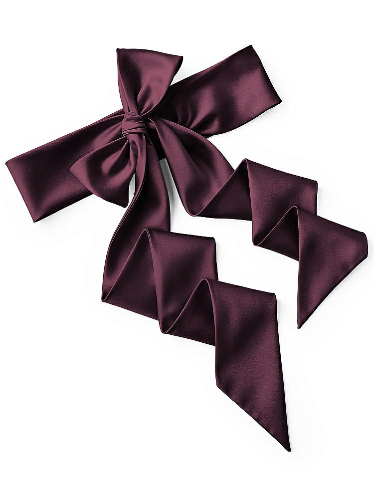 Back View - Deep Plum Satin Twill Wedding Sash
