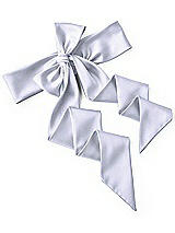 Rear View Thumbnail - Silver Dove Satin Twill Wedding Sash