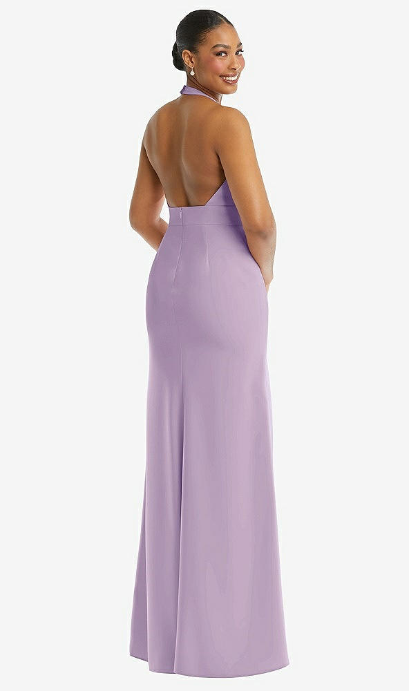 Back View - Pale Purple Plunge Neck Halter Backless Trumpet Gown with Front Slit