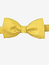 Front View Thumbnail - Daffodil Peau de Soie Bow Ties by After Six