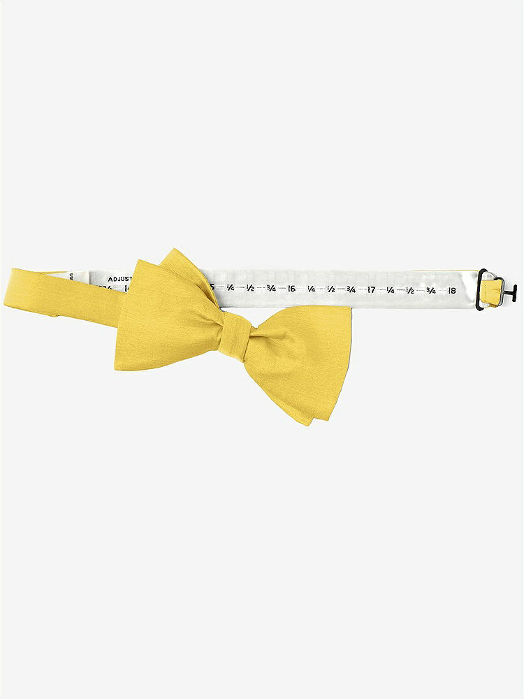 Back View - Daffodil Peau de Soie Bow Ties by After Six