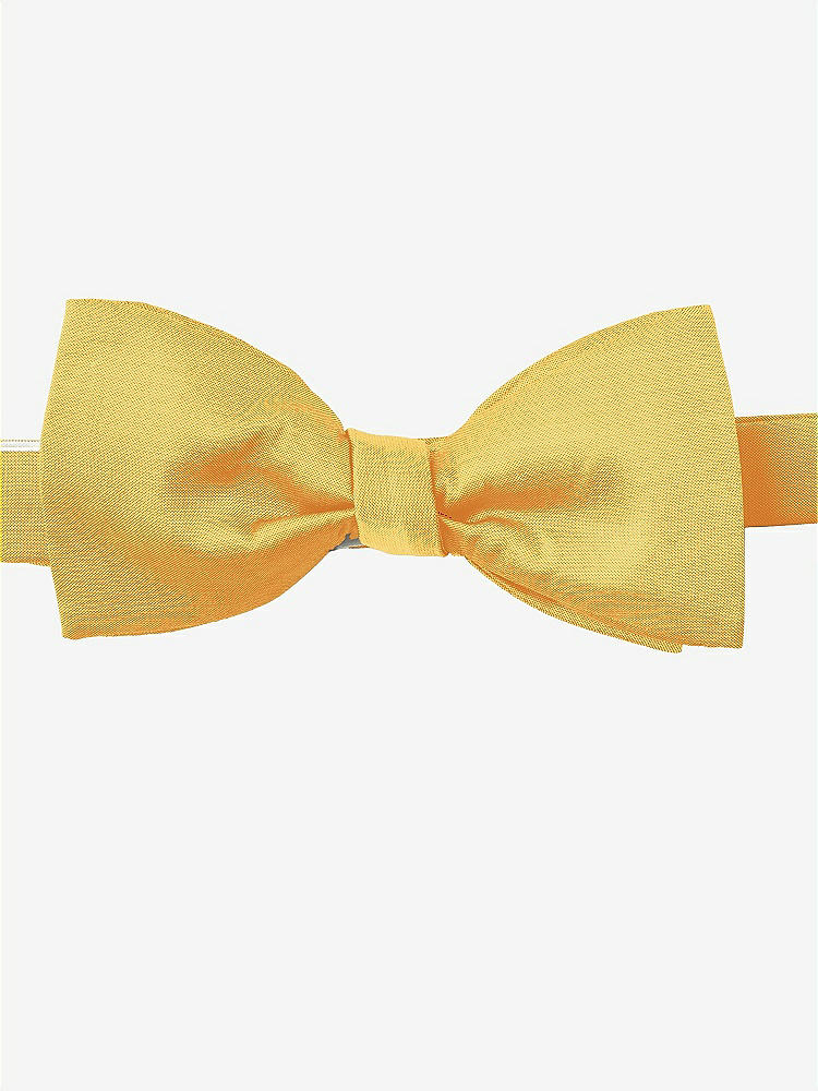 Front View - Mango Peau de Soie Bow Ties by After Six