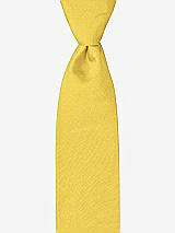 Front View Thumbnail - Daffodil Peau de Soie Boy's 50" Necktie by After Six