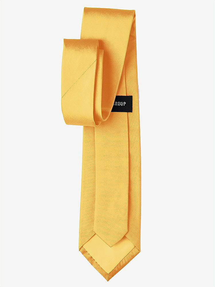 Back View - Mango Peau de Soie Boy's 50" Necktie by After Six